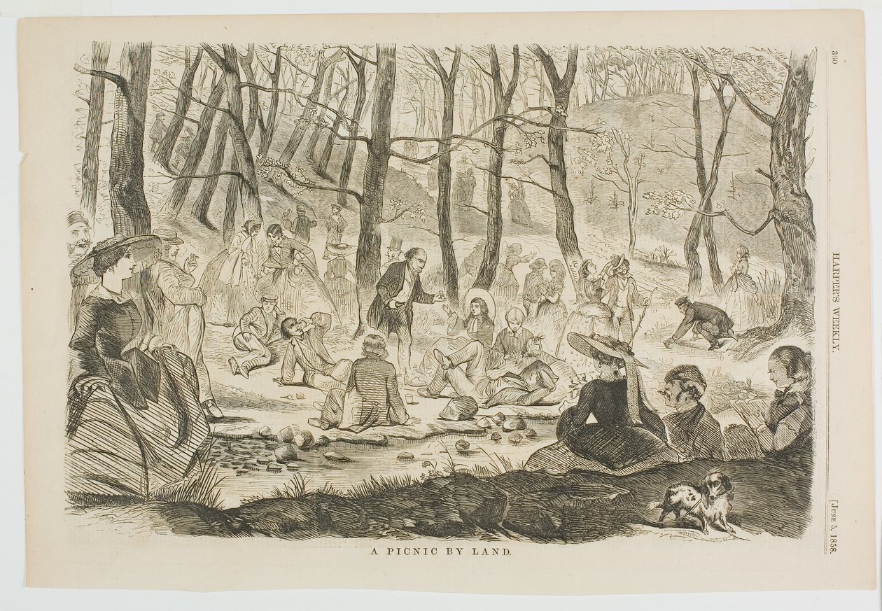 Piknik na lądzie autorstwa Winslow Homer
