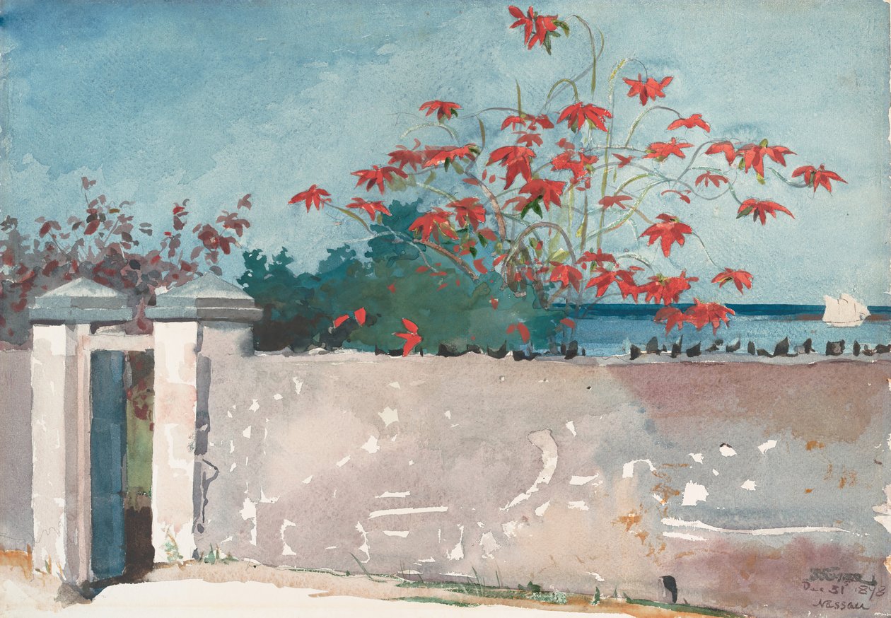 Ściana, Nassau, 1898. autorstwa Winslow Homer