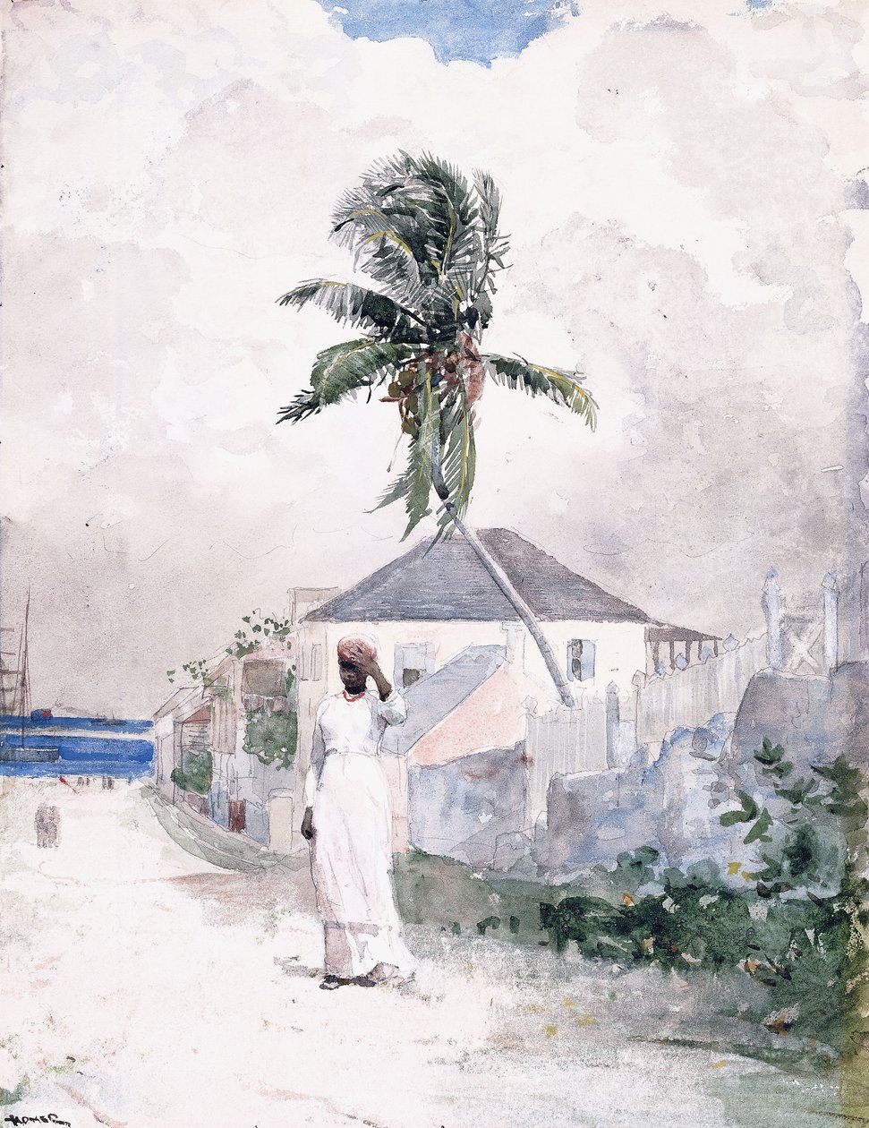 Wzdłuż drogi, Bahamy, 1885 autorstwa Winslow Homer
