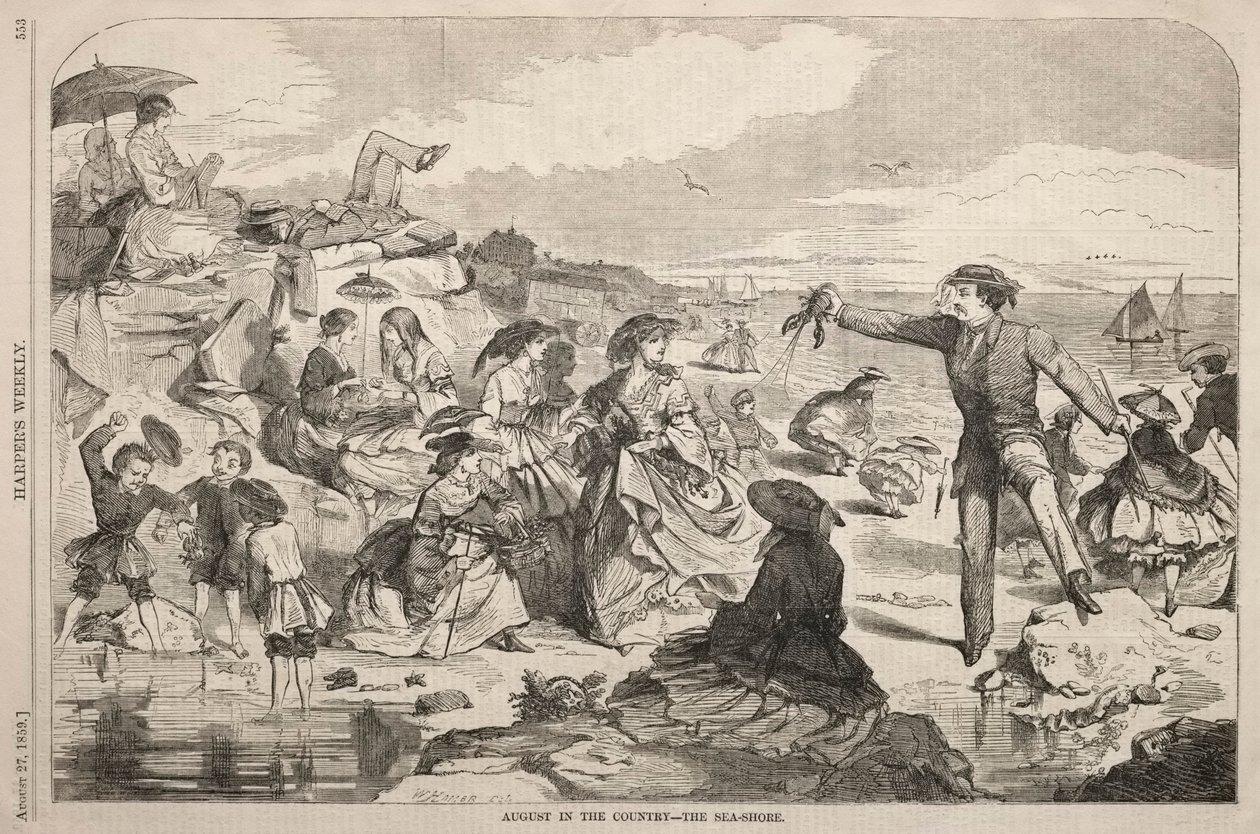 Sierpień na wsi - Wybrzeże, 1859. autorstwa Winslow Homer