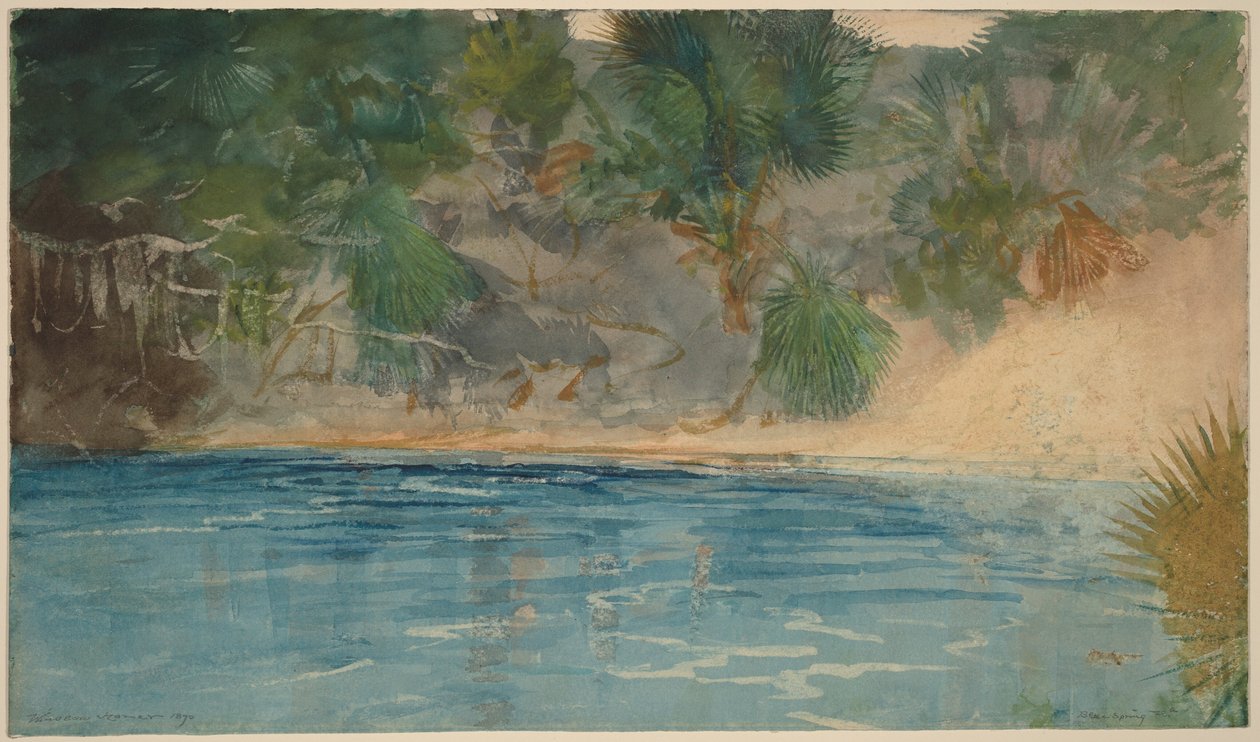 Blue Spring, Floryda autorstwa Winslow Homer
