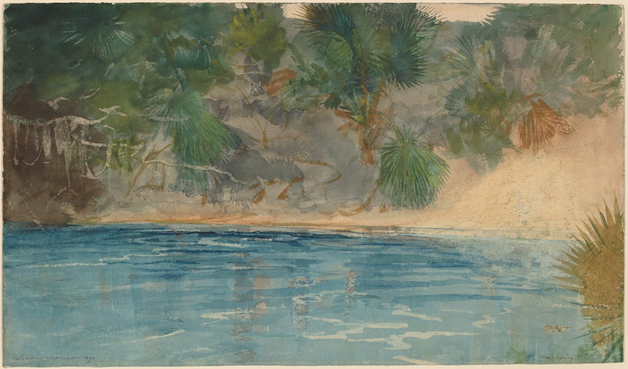 Blue Spring, Floryda, 1890. autorstwa Winslow Homer