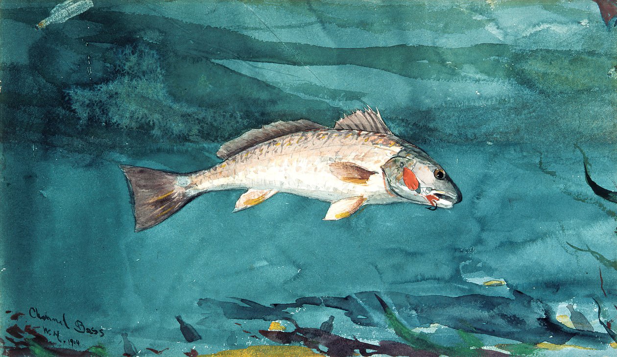 Bas kanałowy, 1904. autorstwa Winslow Homer