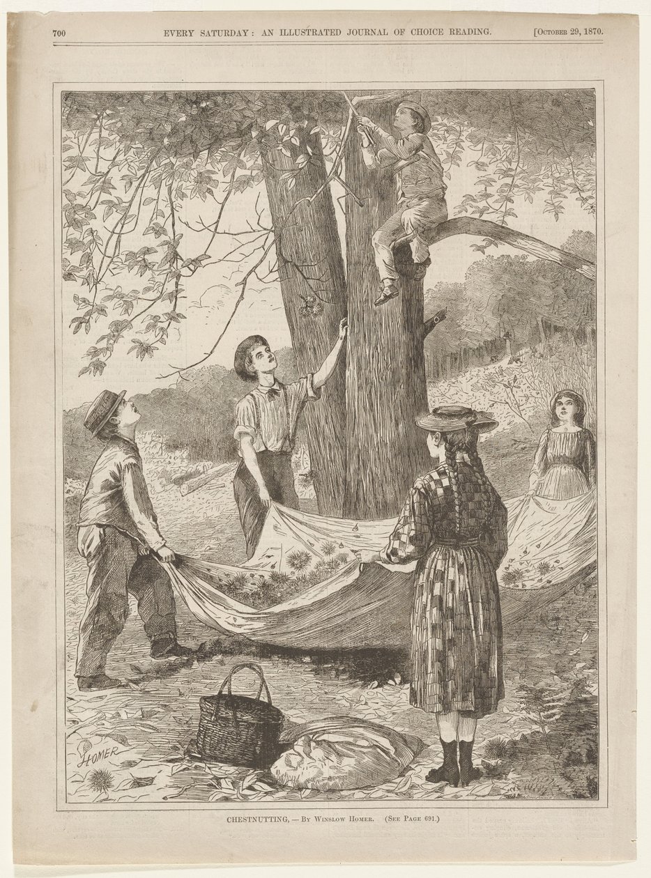 Zbieranie kasztanów autorstwa Winslow Homer