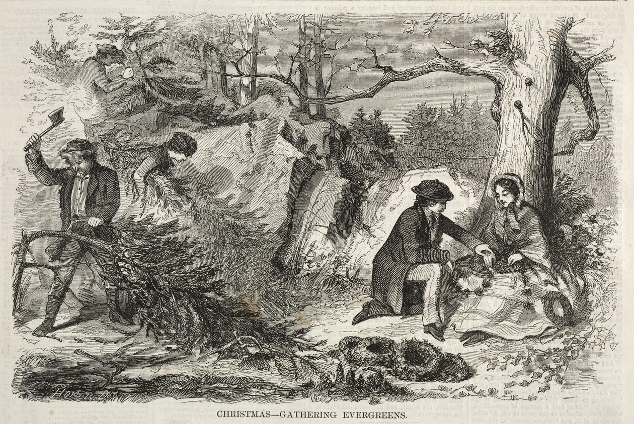 Boże Narodzenie – Evergreens na spotkanie świąteczne autorstwa Winslow Homer