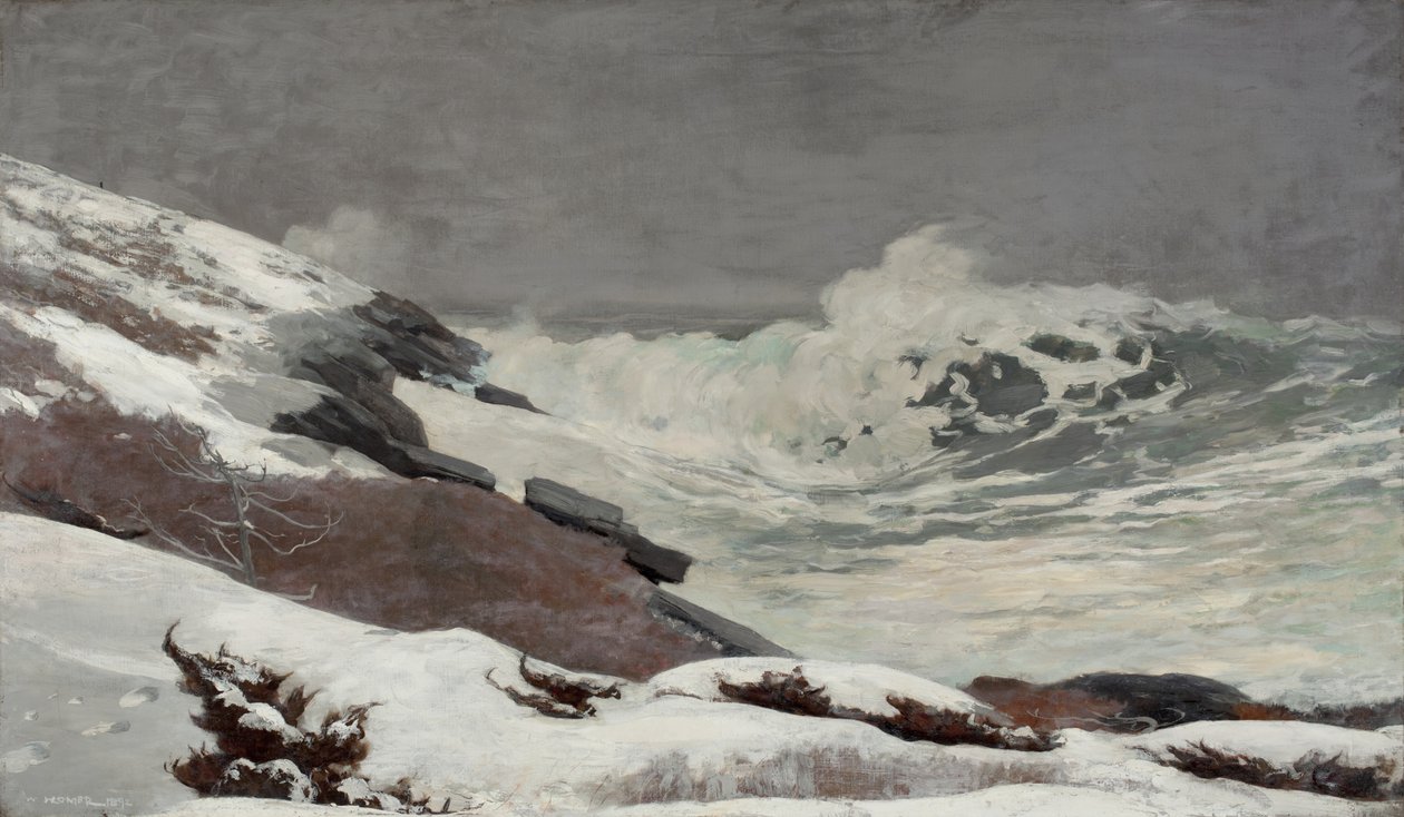Wybrzeże zimą, 1892 autorstwa Winslow Homer
