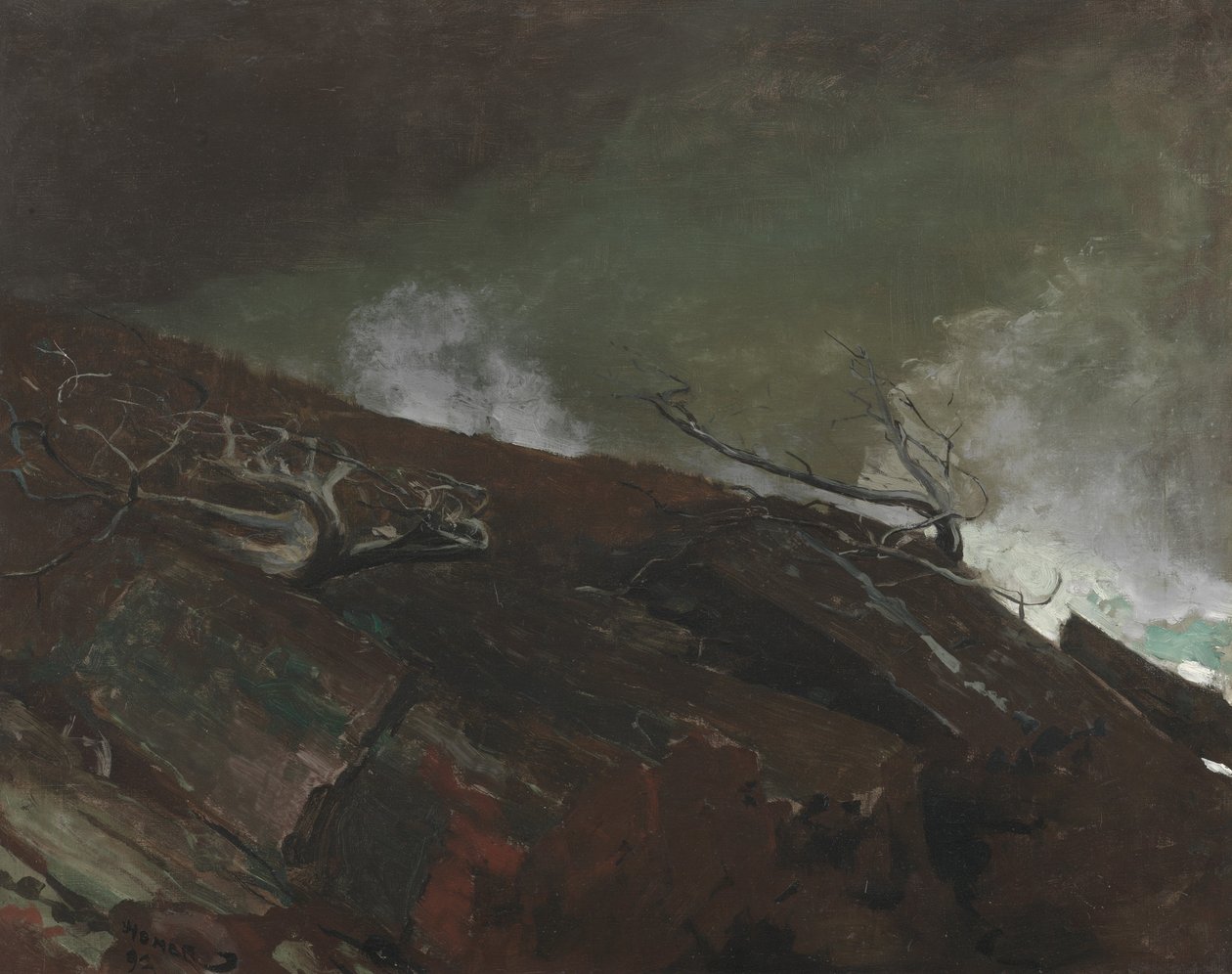 Wybrzeże Maine, 1893 autorstwa Winslow Homer