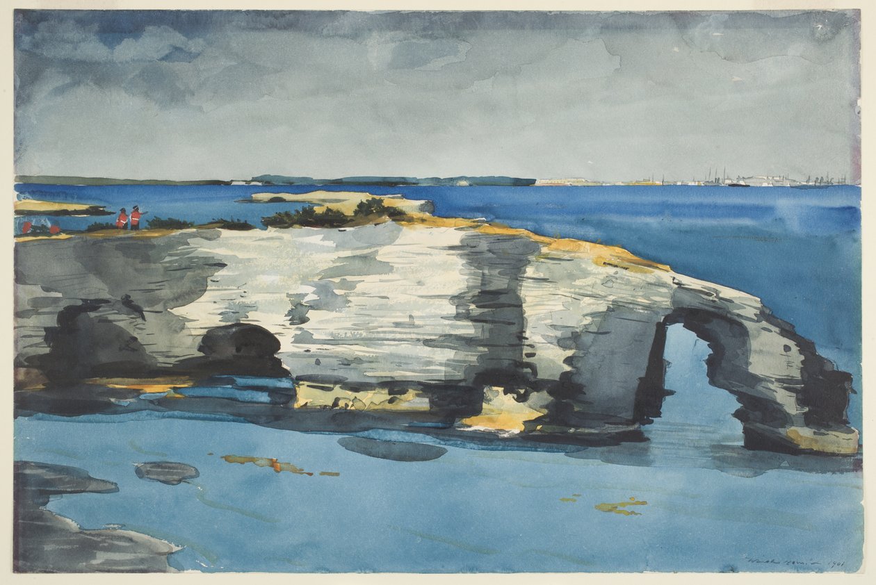 Formacja koralowa autorstwa Winslow Homer