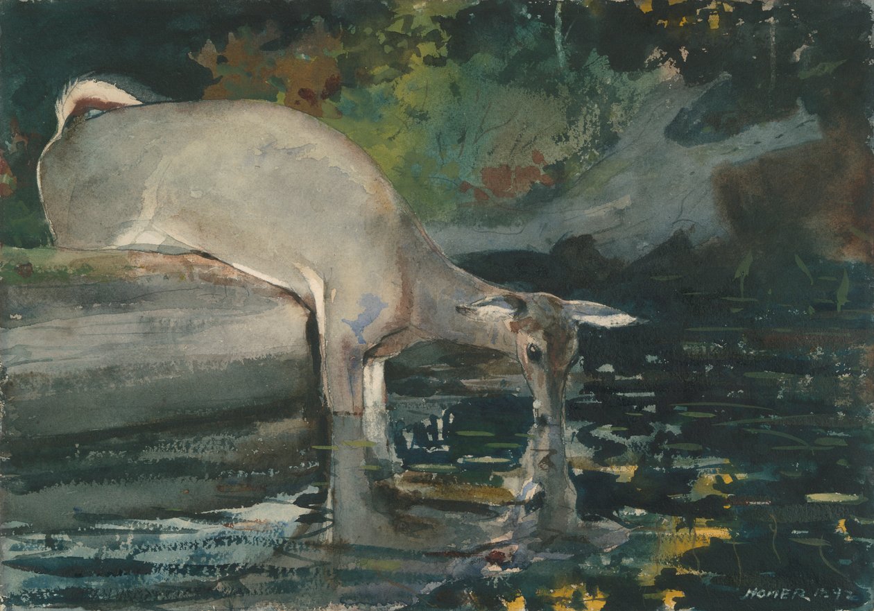 Picie jelenia autorstwa Winslow Homer