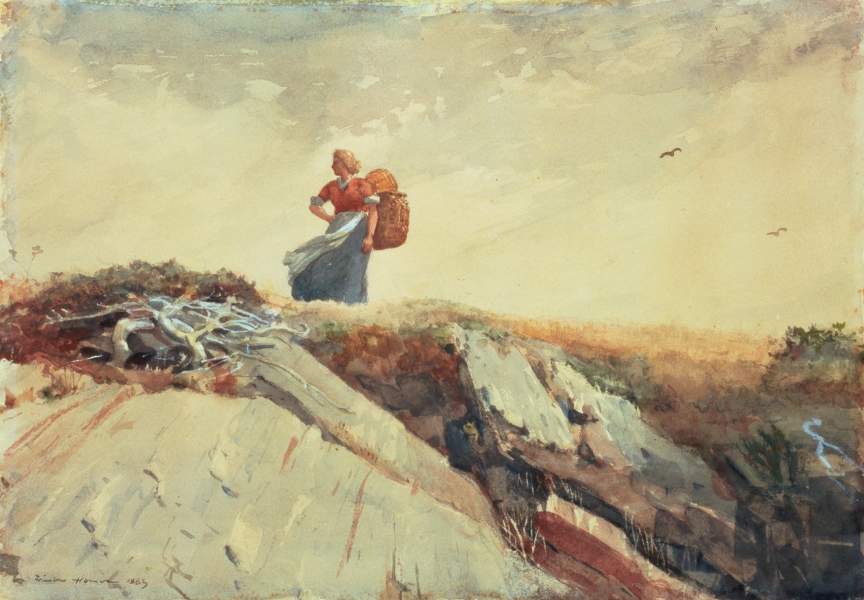 W dół klifu, 1883 autorstwa Winslow Homer
