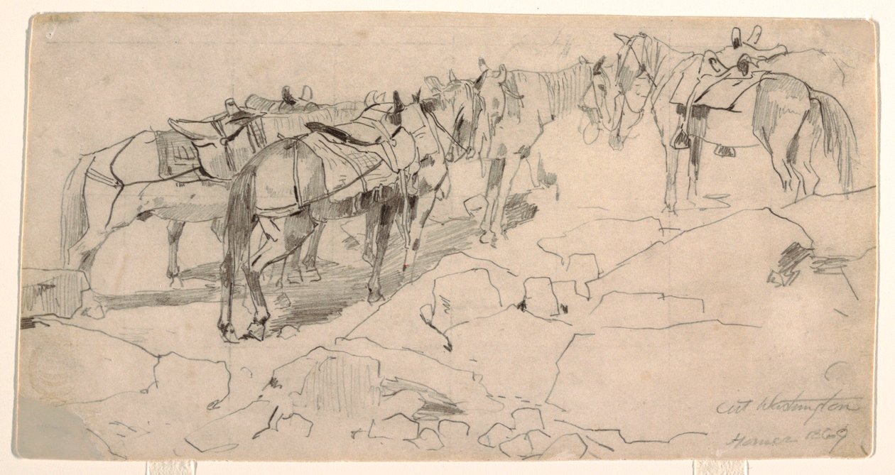 Rysunek, studium do "Mount Washington" i "The Summit of Mt. Washington", 1869 r. autorstwa Winslow Homer