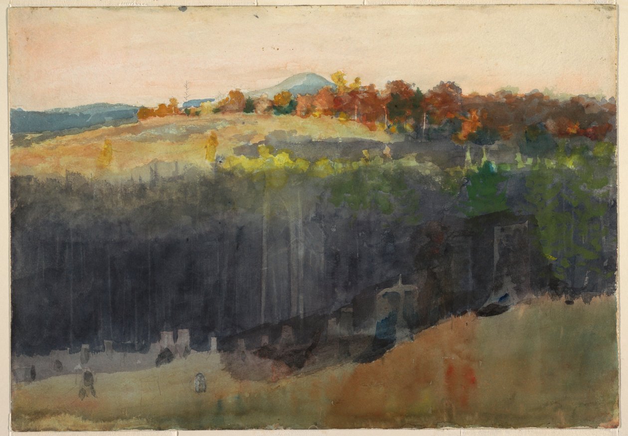 Rysunek, Dolina i zbocze wzgórza, Adirondacks, 1889-94 autorstwa Winslow Homer