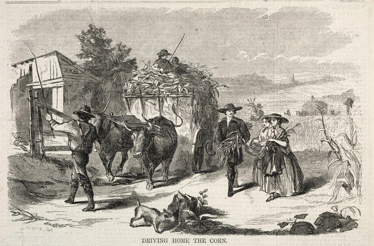 Jadąc do domu kukurydzy, 1858. autorstwa Winslow Homer