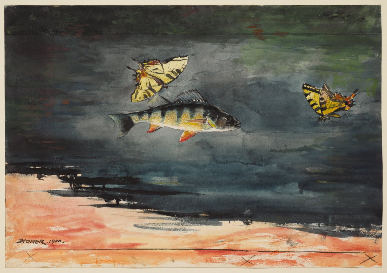 Ryby i motyle autorstwa Winslow Homer