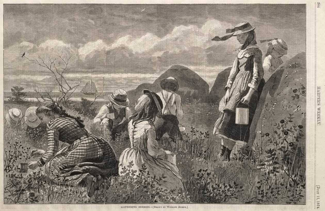 Zbieranie jagód, 1874. autorstwa Winslow Homer