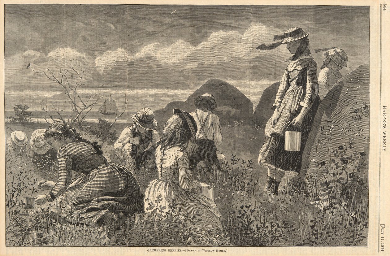 Zbieranie jagód, z Harper autorstwa Winslow Homer