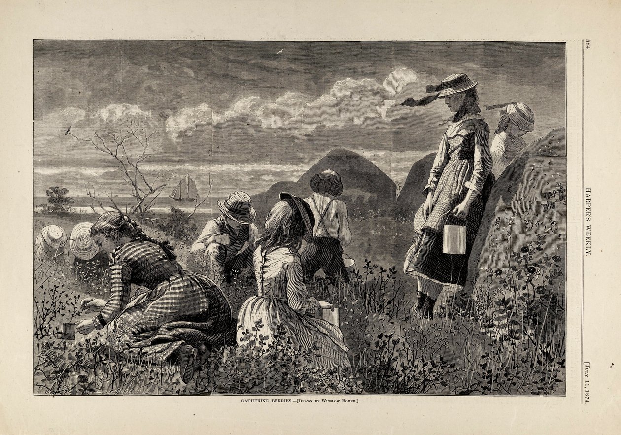 Zbieranie jagód, z Harper