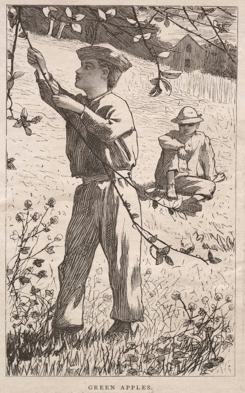 Zielone jabłka autorstwa Winslow Homer