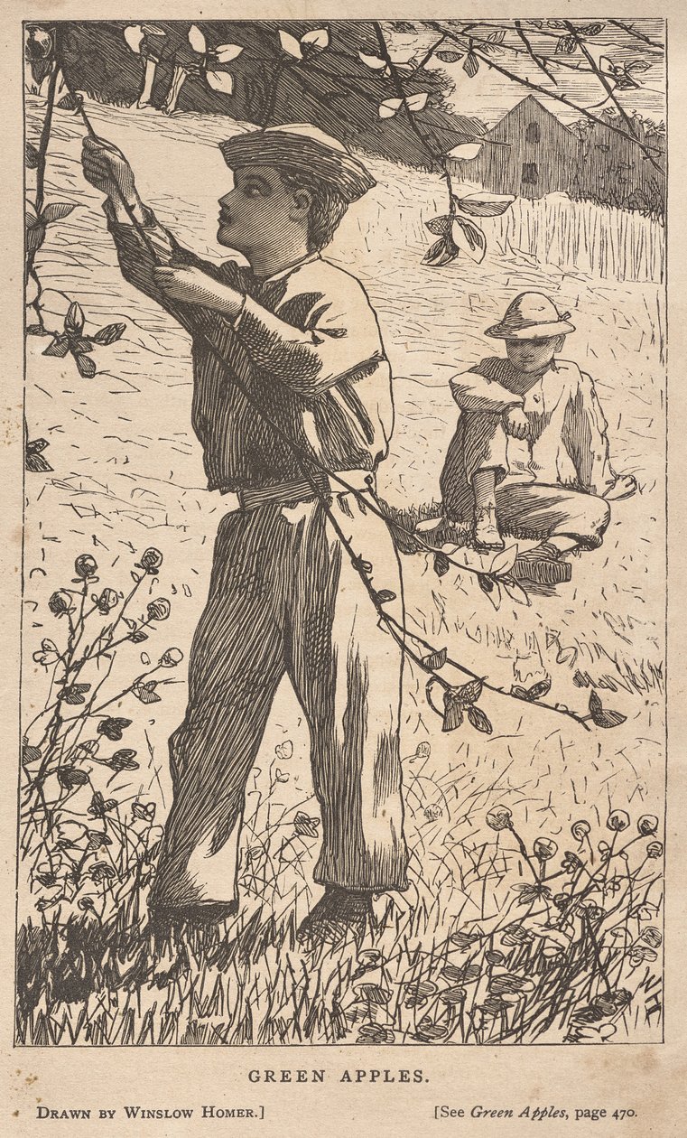 Zielone jabłka autorstwa Winslow Homer