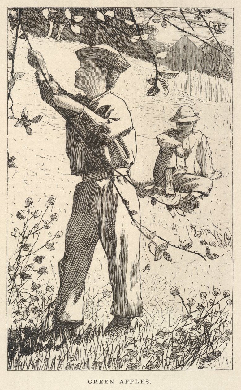 Zielone jabłka, od Our Young Folks, sierpień 1868 r. autorstwa Winslow Homer