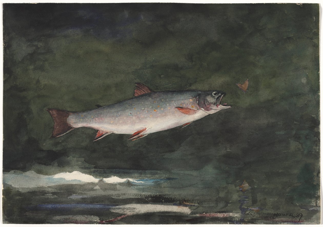 Skaczący pstrąg, 1889. autorstwa Winslow Homer
