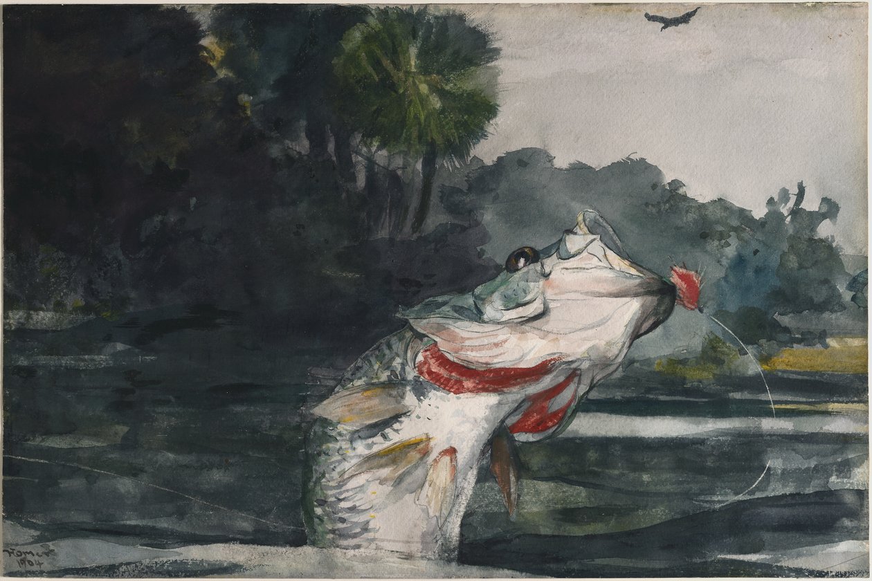 Bas czarny naturalnej wielkości autorstwa Winslow Homer