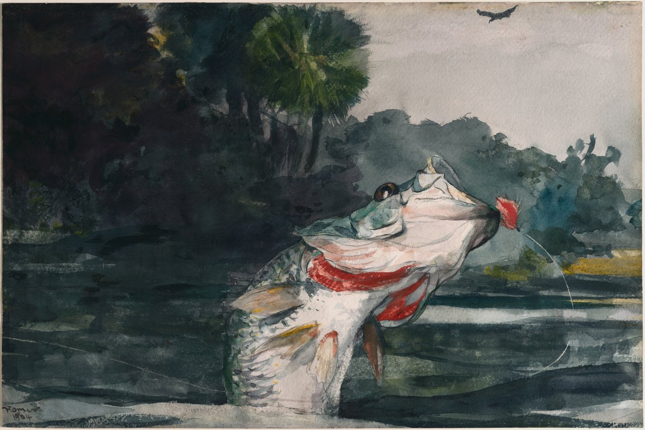 Bas czarny naturalnej wielkości autorstwa Winslow Homer