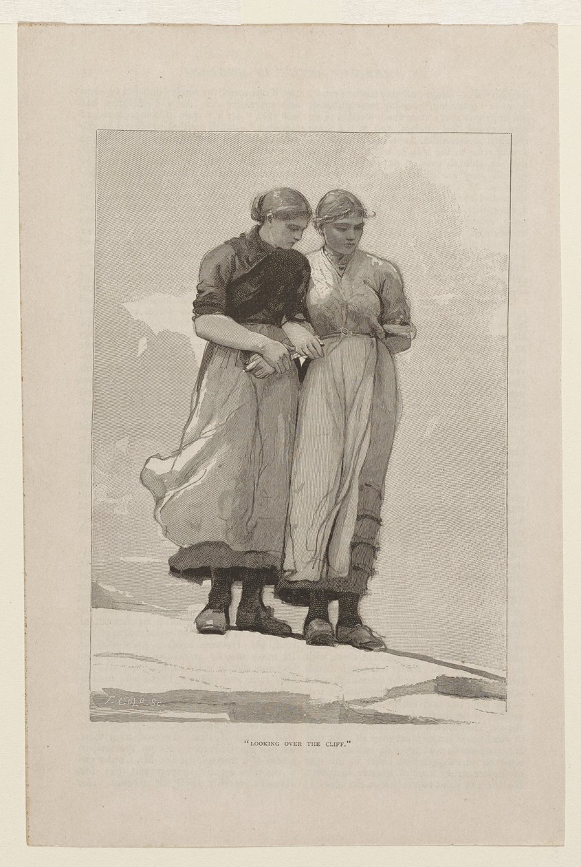 Widok ponad klifem autorstwa Winslow Homer