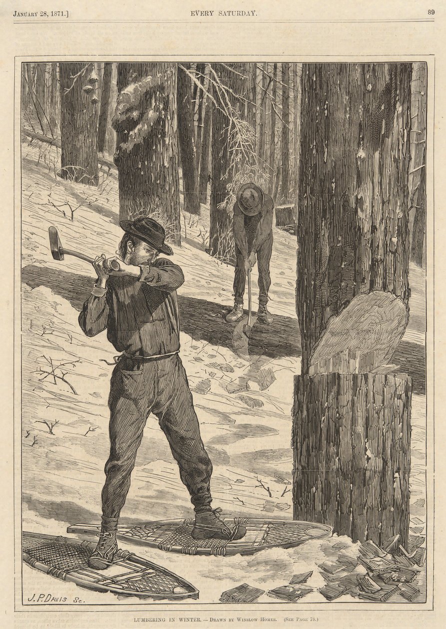 Trzepotanie zimą, od każdej soboty 28 stycznia 1871 r. autorstwa Winslow Homer