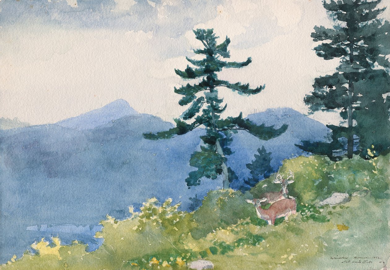 North Woods Club, Adirondacks (Przerwany Tete-a-Tete) autorstwa Winslow Homer