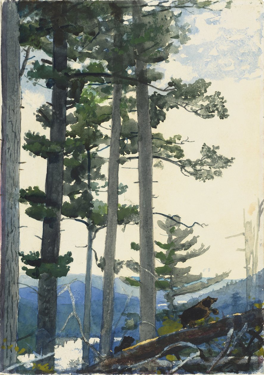 Starzy osadnicy autorstwa Winslow Homer