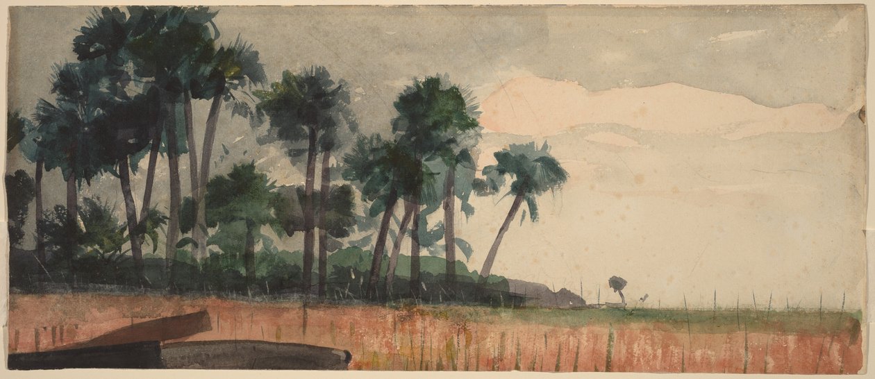 Czerwone palmy autorstwa Winslow Homer