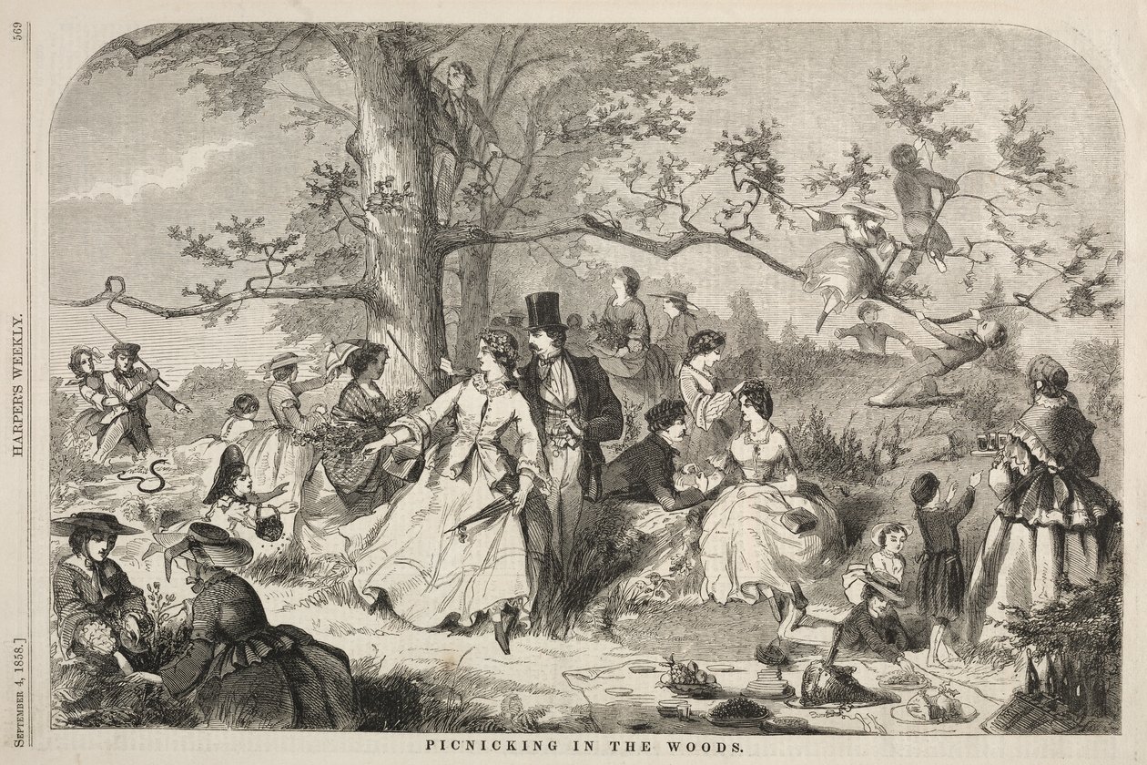 Piknik w lesie autorstwa Winslow Homer