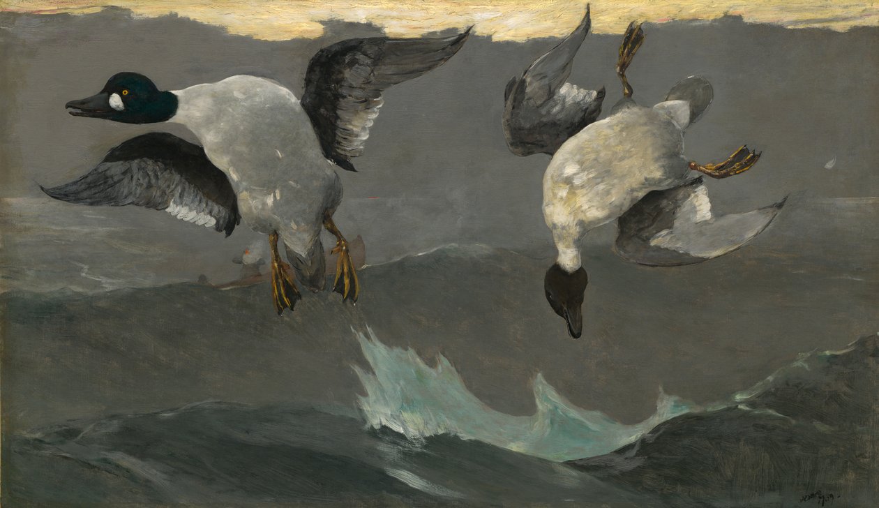 Prawo lewo autorstwa Winslow Homer