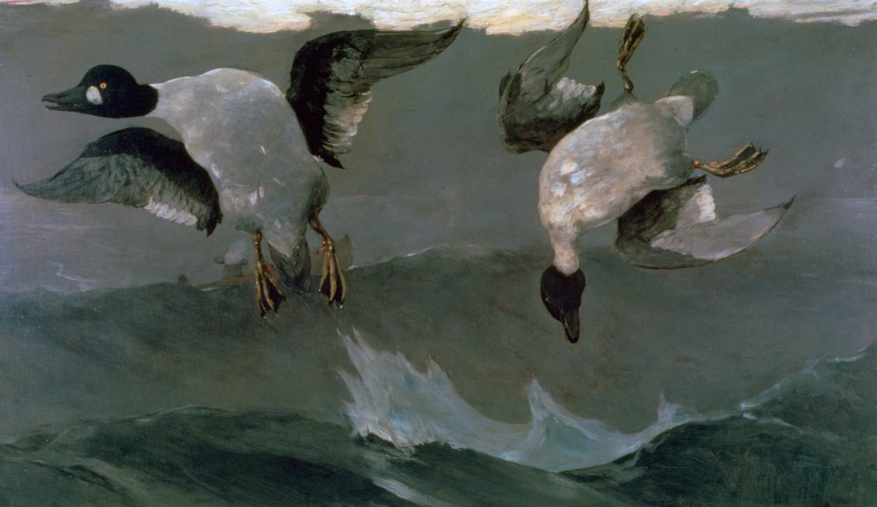 Prawo i lewo, 1909 autorstwa Winslow Homer