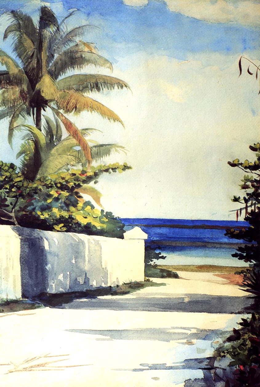 Droga w Nassau, 1898-99 autorstwa Winslow Homer