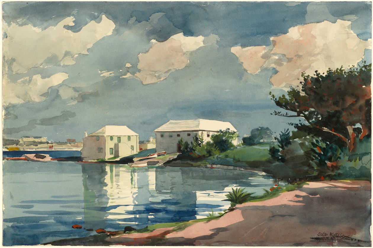 Czajnik solny, Bermudy, 1899. autorstwa Winslow Homer