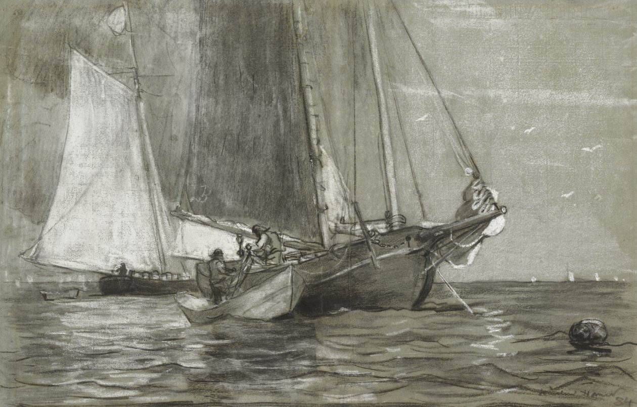Szkuner w Kotwicy, 1884 autorstwa Winslow Homer