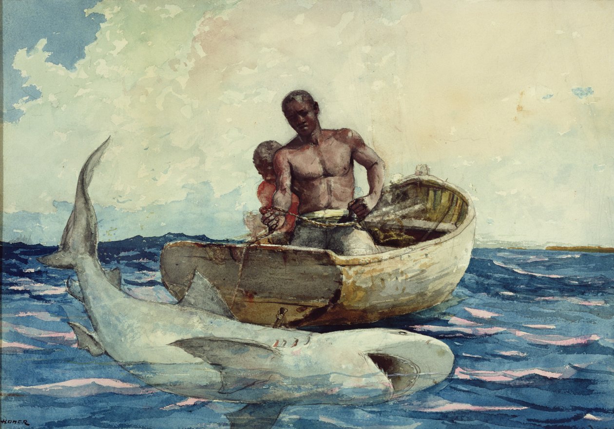 Połów rekinów, 1885 autorstwa Winslow Homer