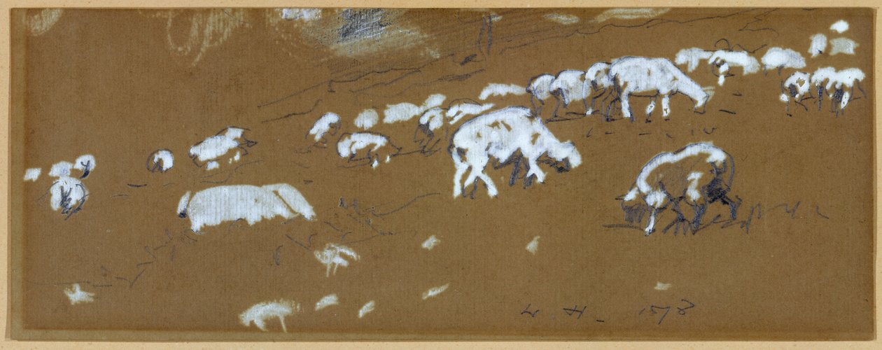 Owca, 1878 (grafitowo-biały gwasz na papierze) autorstwa Winslow Homer