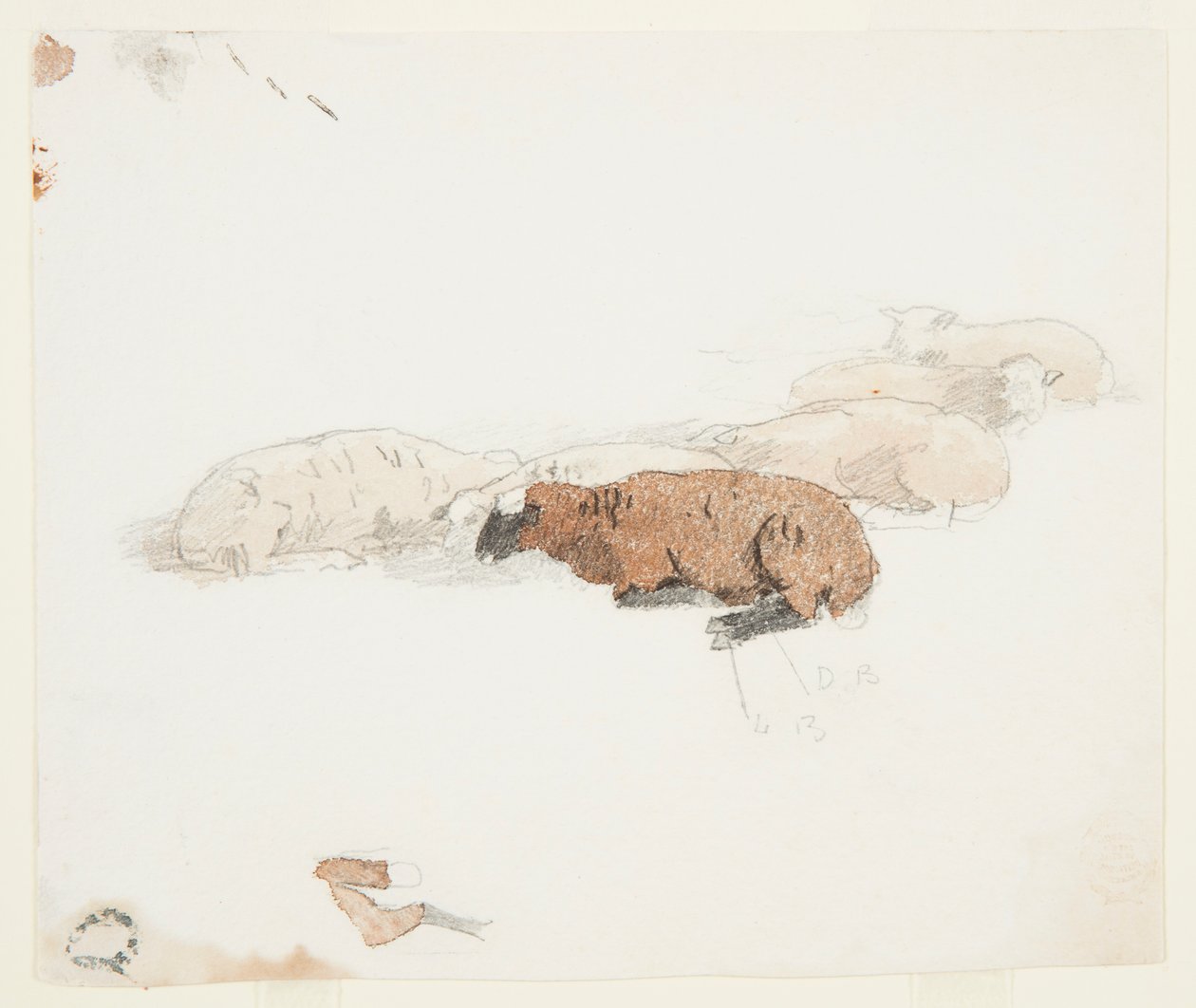 Odpoczywająca owca autorstwa Winslow Homer