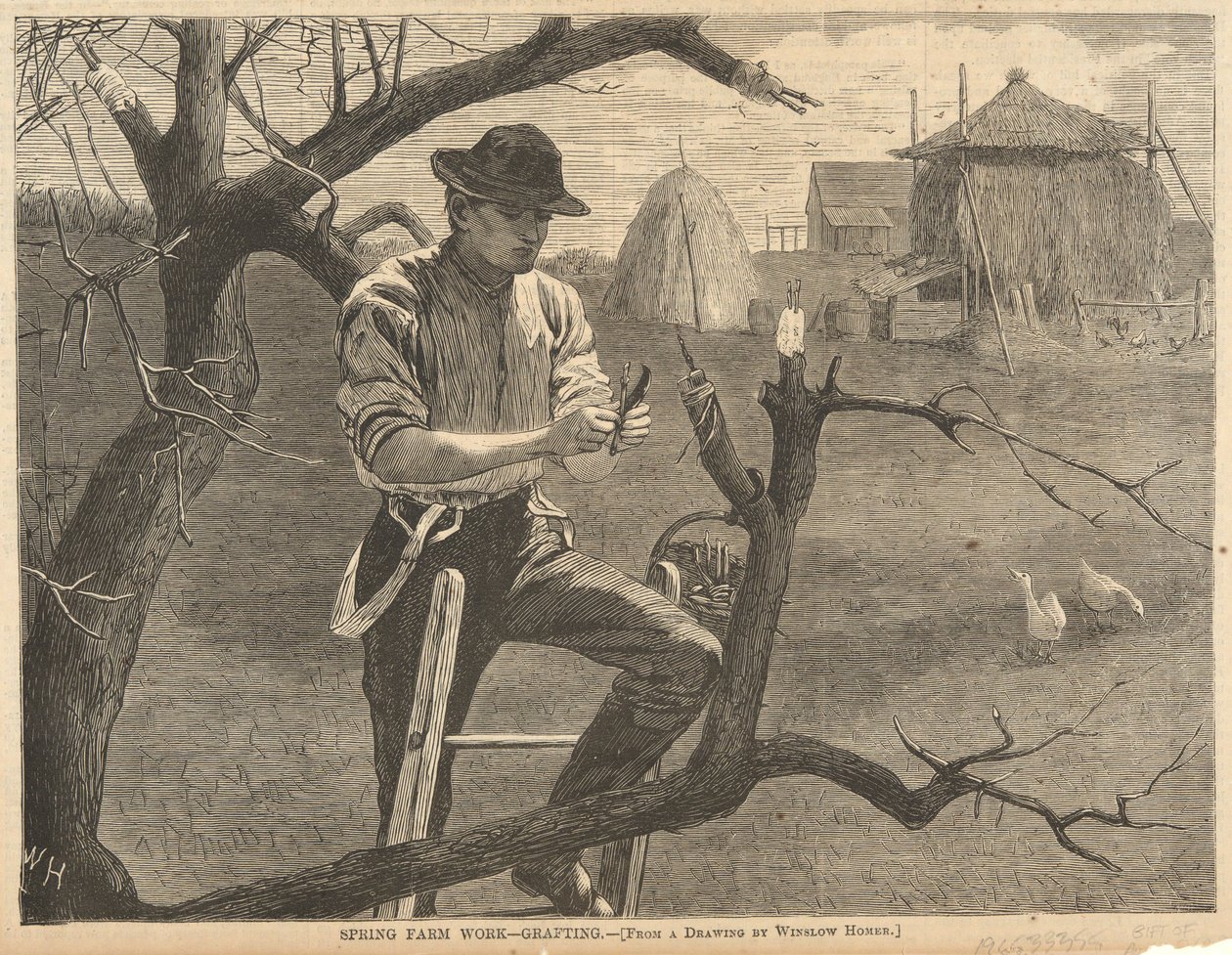 Wiosenna praca na farmie autorstwa Winslow Homer