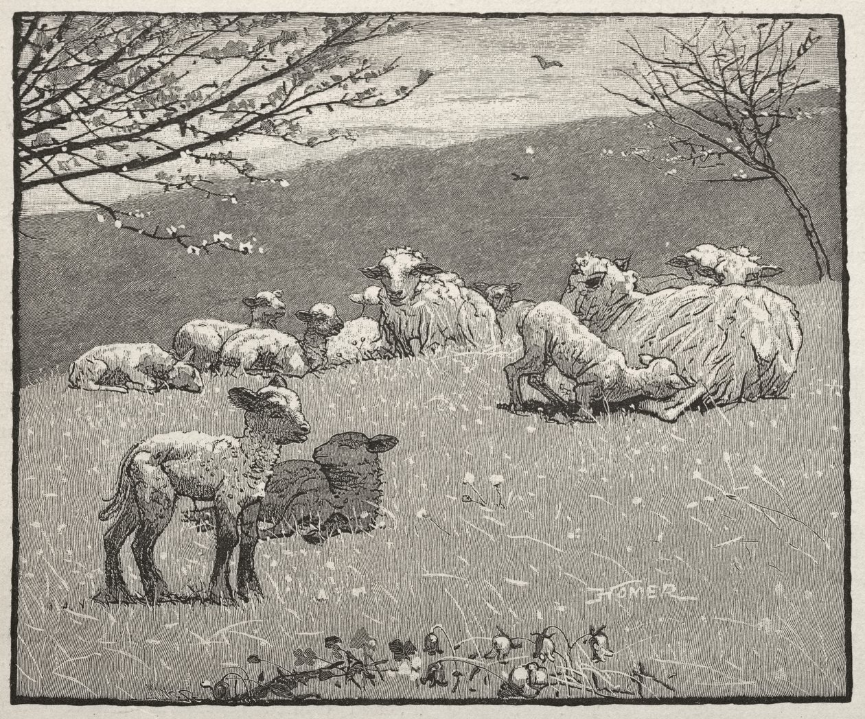 Jagnię czołowe autorstwa Winslow Homer