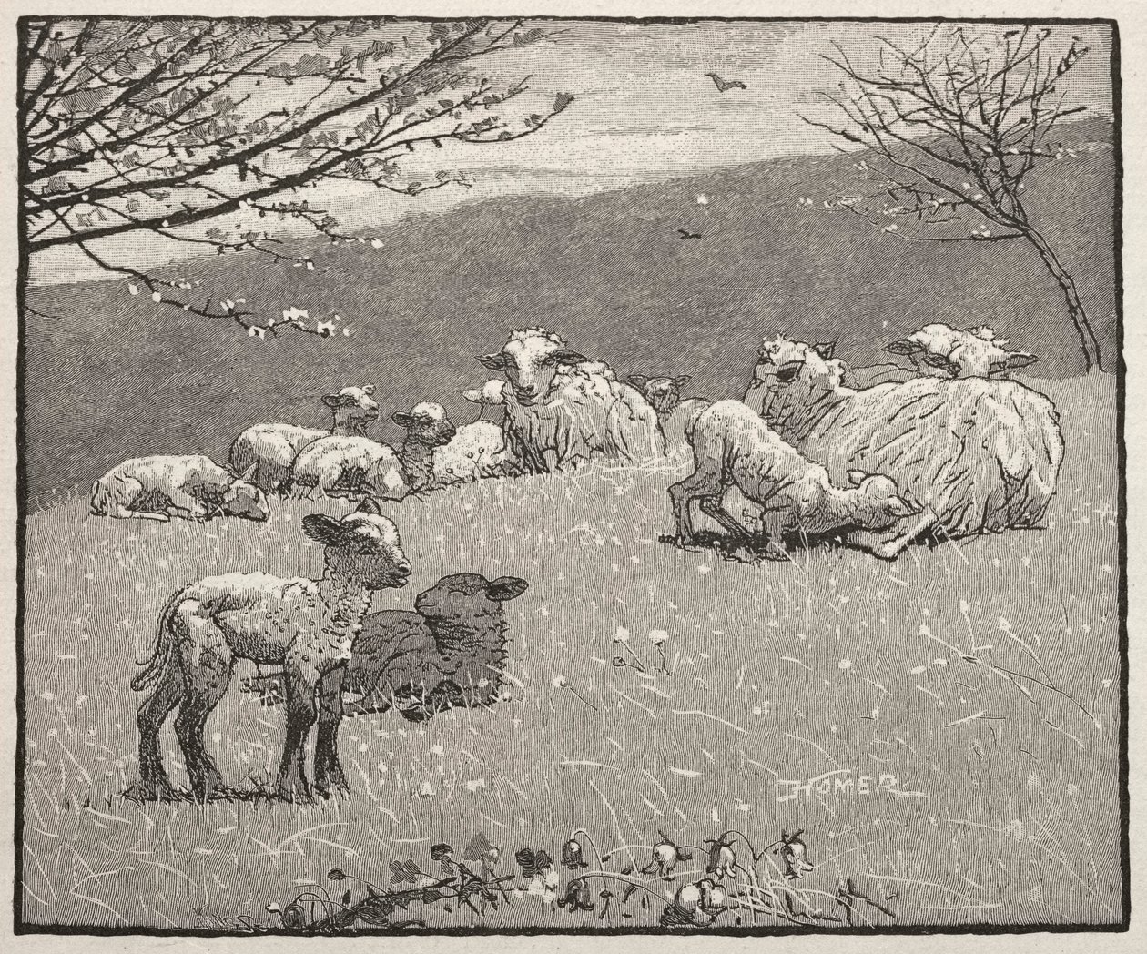 Baranek Wiosenny, 1880. autorstwa Winslow Homer