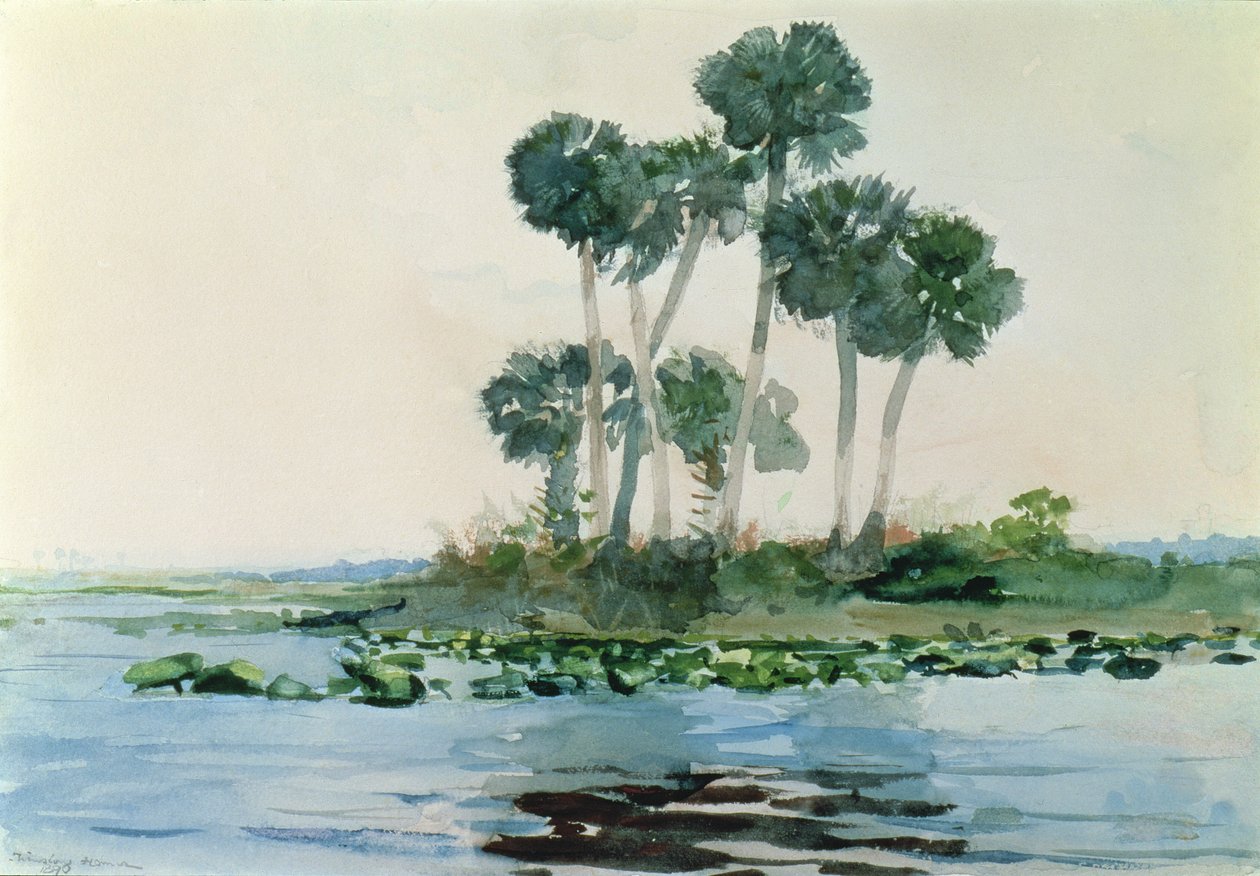 Rzeka St. John
