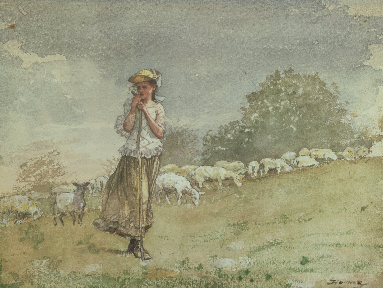 Pielęgnowanie owiec, farma Houghton, ok. 1878-79 autorstwa Winslow Homer
