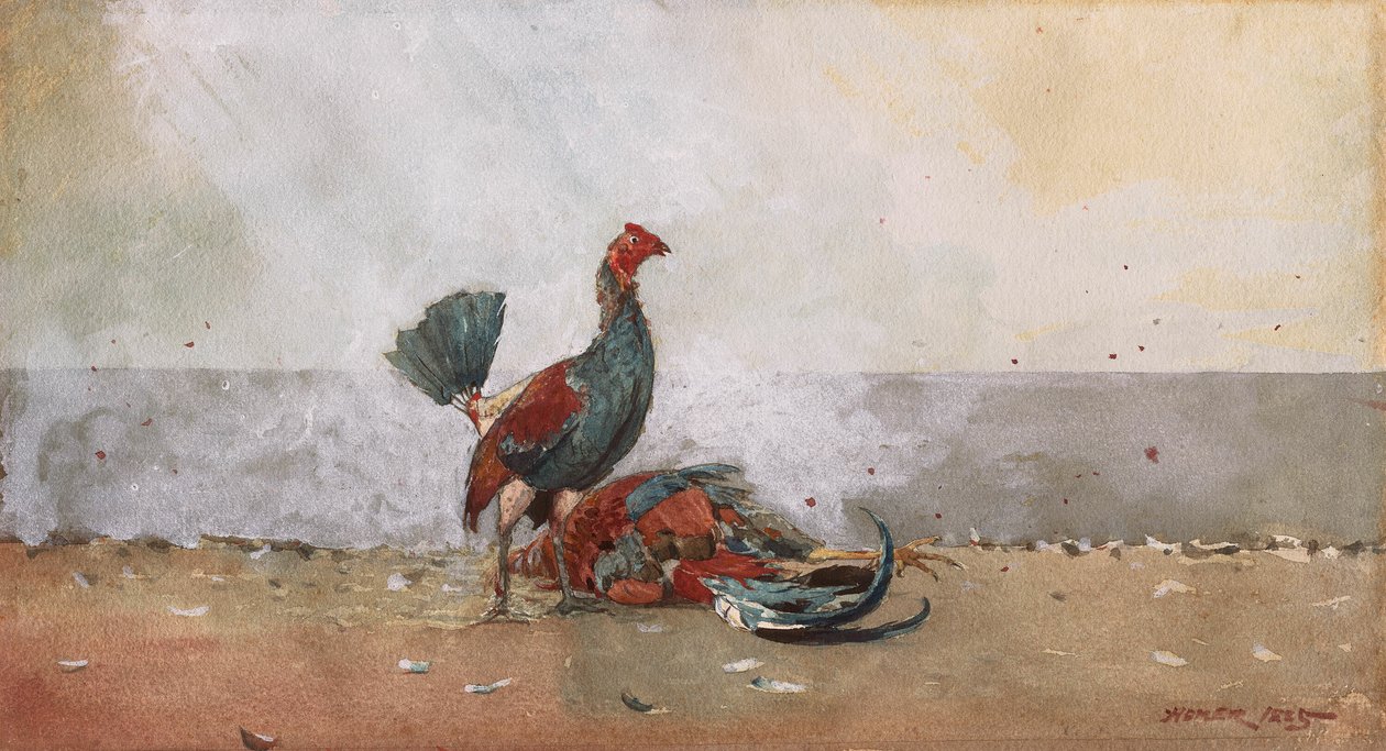 Walka kogutów autorstwa Winslow Homer