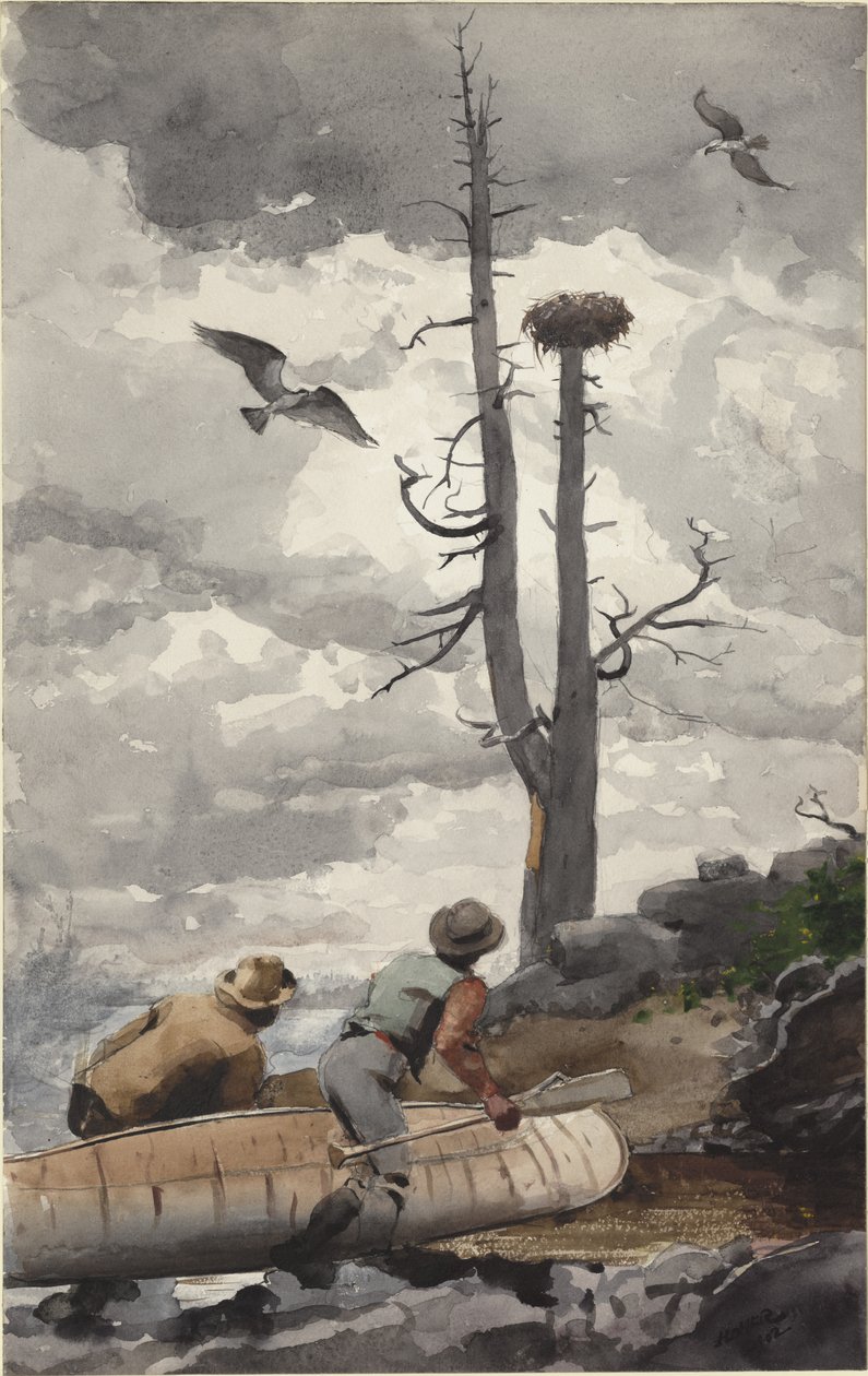 Orle Gniazdo autorstwa Winslow Homer