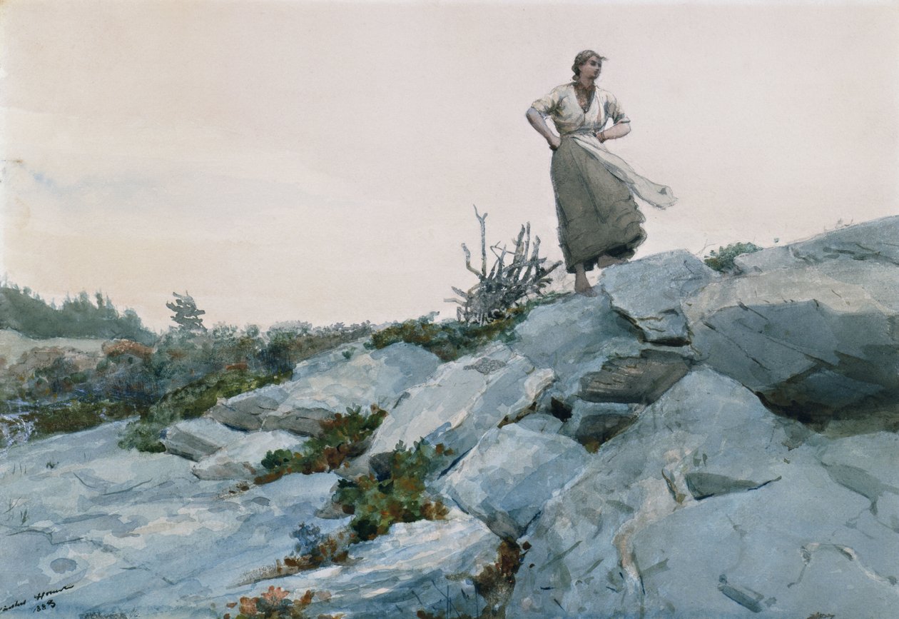 Zbieracz gałązek , 1883 autorstwa Winslow Homer