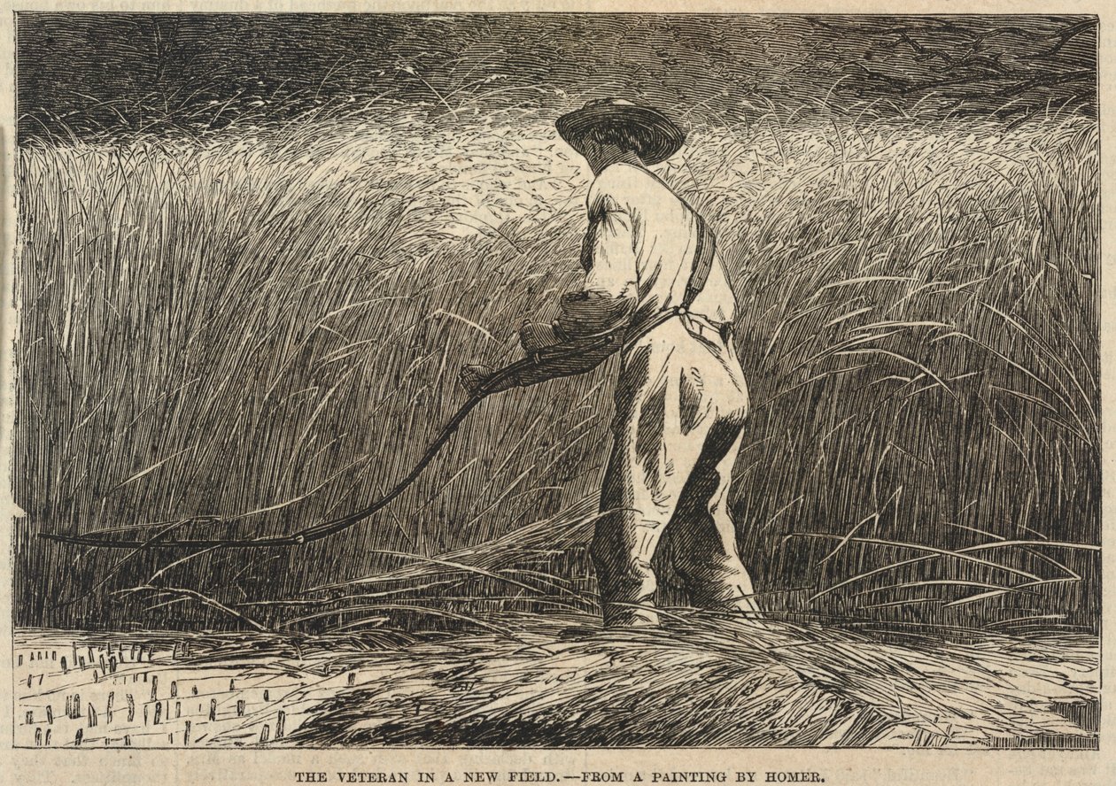 Weteran na nowym polu, z ilustrowanej gazety Franka Lesliego, 13 lipca 1867 r. autorstwa Winslow Homer